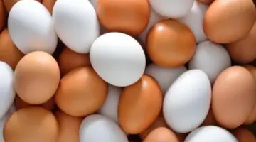 أسعار البيض في الأسواق اليوم الاثنين مايو 2026.. الأحمر والبلدي بكام؟